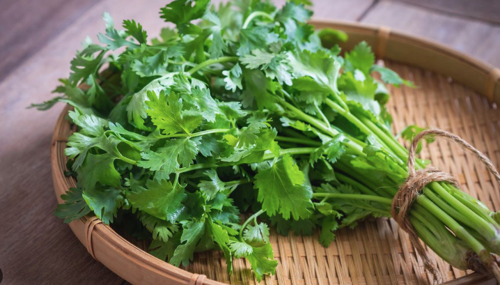 Loại rau gia vị giúp kiểm soát đường huyết tốt nhưng có 5 nhóm người không nên ăn- Ảnh 1. Loại rau gia vị giúp kiểm soát đường huyết tốt nhưng có 5 nhóm người không nên ăn- Ảnh 1.