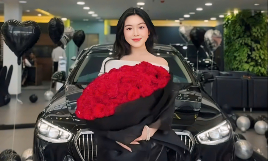 Lọ Lem nhà MC Quyền Linh lên tiếng sau khi tậu xế hộp - Ảnh 1. Lọ Lem nhà MC Quyền Linh lên tiếng sau khi tậu xế hộp - Ảnh 1.