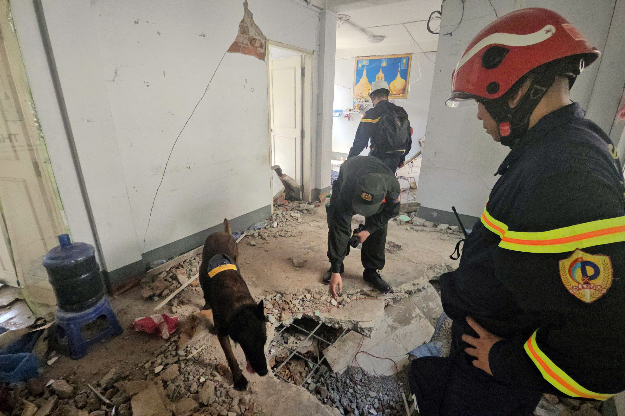 Cứu hộ Việt Nam sử dụng radar quét xuyên tường tìm nạn nhân động đất ở Myanmar- Ảnh 1.