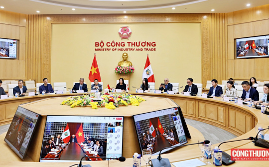 Việt Nam – Peru ưu tiên triển khai các biện pháp thúc đẩy trao đổi thương mại