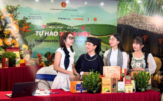 Tuần lễ Thương mại điện tử Go Online cấp vùng đầu tiên trên toàn quốc
