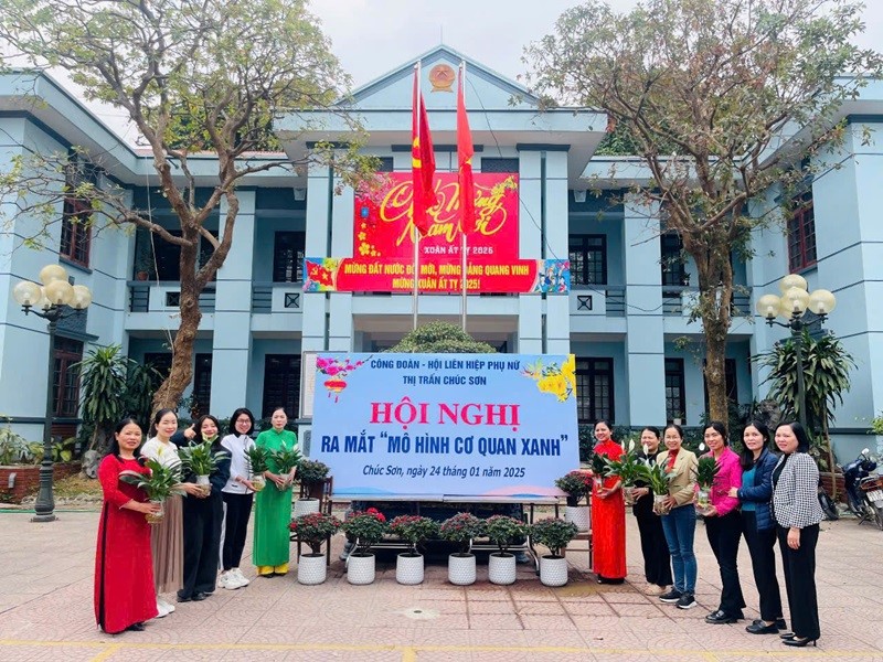 Phát huy vai trò của Hội phụ nữ các cấp trong xây dựng Nông thôn mới - ảnh 1