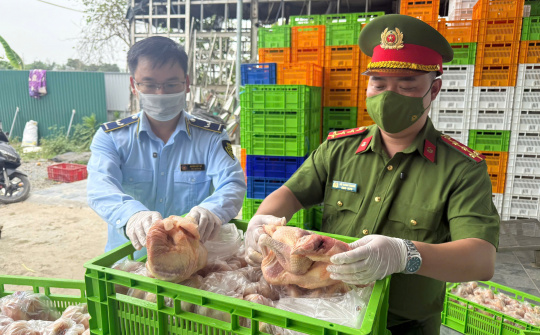 Hà Nội: Phát hiện lô gà đông lạnh “khủng” không rõ nguồn gốc lớn nhất từ trước đến nay