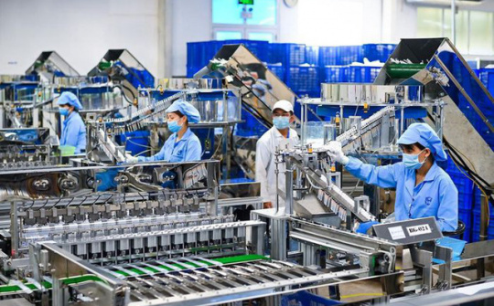 Từ 1/4/2025, thực hiện Điều tra doanh nghiệp trên phạm vi cả nước