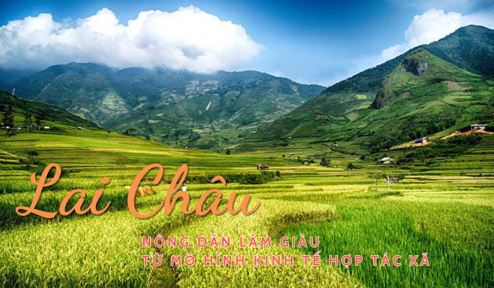 Lai Châu: Nông dân làm giàu từ mô hình kinh tế hợp tác xã