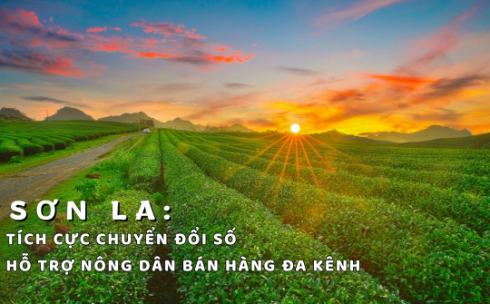 Sơn La: Tích cực chuyển đổi số, hỗ trợ nông dân bán hàng đa kênh