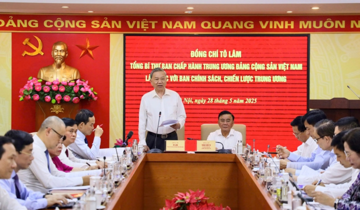 Tổng Bí thư Tô Lâm làm việc với Ban Chính sách, chiến lược Trung ương về cơ chế, chính sách quản lý hiệu quả thị trường vàng