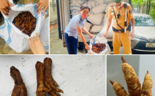 Phát hiện hơn 10 tấn chân gà không rõ nguồn gốc tại Quảng Ninh, Hà Nội, Lào Cai