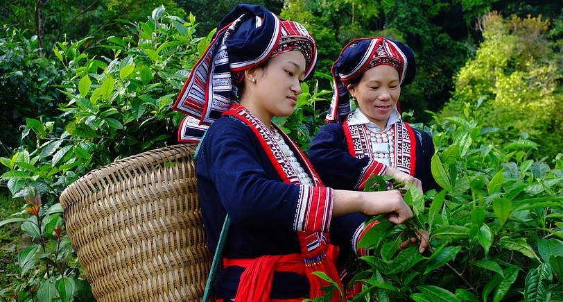 dieu-chinh-noi-dung-chuong-trinh-phat-trien-kinh-te-xa-hoi-vung-dan-toc-thieu-so_682563b786ec5 dân tộc thiểu số