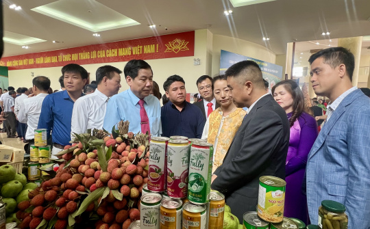 Bắc Giang sẵn sàng cho vụ vải thiều 2025, quyết tâm giữ vững vị thế trung tâm vải thiều của cả nước