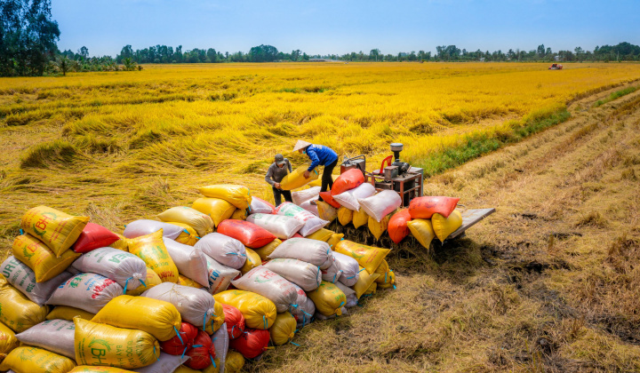 Tổng rà soát để định hình phát triển bền vững ngành nông lâm thuỷ sản và khu vực nông thôn trong giai đoạn mới
