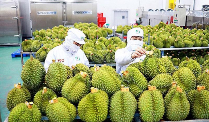 Bảo đảm sản xuất, tiêu thụ, xuất khẩu nông lâm thủy sản trong biến động thương mại toàn cầu