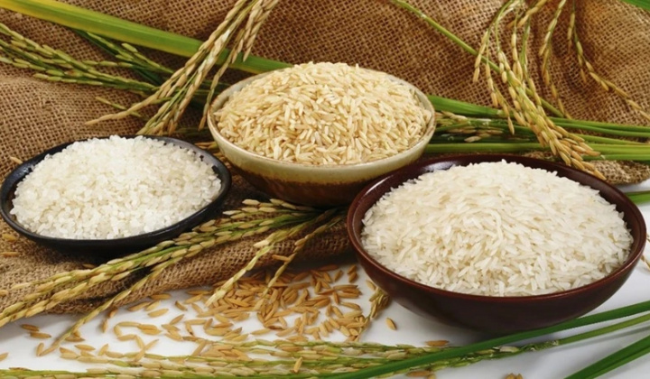 Senegal muốn nhập khẩu gạo, gia vị, cà phê, trà… của Việt Nam
