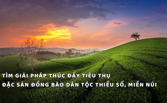 Tìm giải pháp thúc đẩy tiêu thụ đặc sản đồng bào dân tộc thiểu số, miền núi
