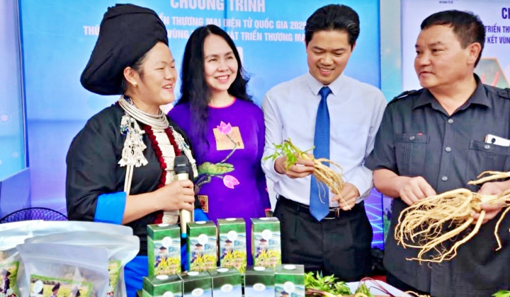 Phát triển thương mại điện tử tại Lai Châu: Vượt rào cản bằng đào tạo và công nghệ số