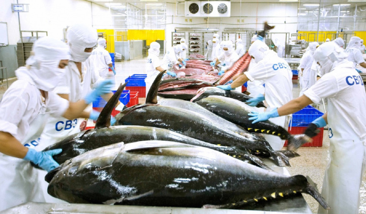 Nhiều tiềm năng xuất khẩu cá ngừ Việt Nam sang các thị trường Halal