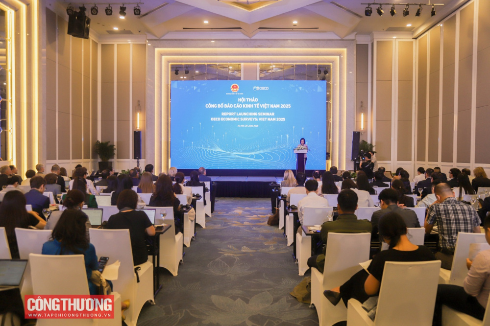 Báo cáo kinh tế Việt Nam