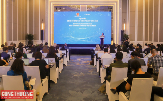 Hướng tới nền kinh tế Việt Nam hội nhập, minh bạch, bền vững: Những khuyến nghị của chuyên gia quốc tế