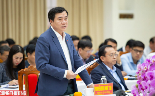 Thứ trưởng Bộ Công Thương Nguyễn Sinh Nhật Tân là Phó Chủ tịch Ủy ban Quốc gia APEC 2027