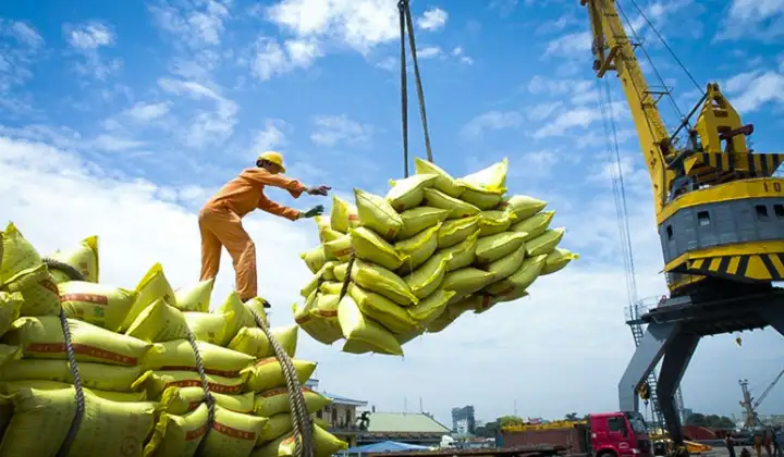 Thủ tướng: Nắm bắt các cơ hội thuận lợi, triển khai “thần tốc” hơn nữa hoạt động xuất khẩu gạo