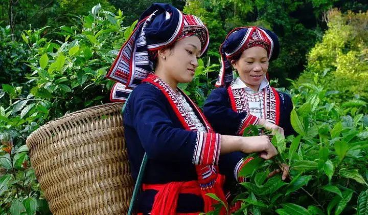 Tạo điều kiện để đồng bào dân tộc thiểu số cùng đất nước bước vào kỷ nguyên phát triển mới