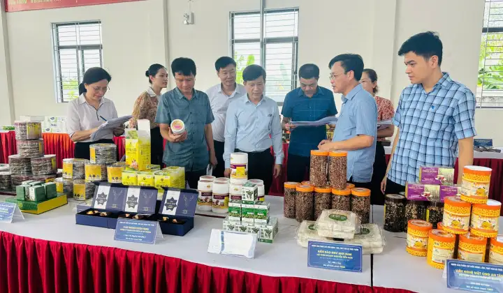 Công nghiệp nông thôn Hà Tĩnh bứt phá nhờ khuyến công đồng hành