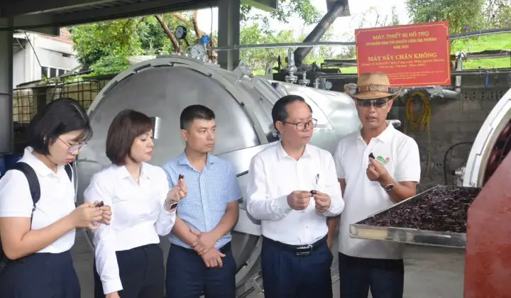 Khuyến công tiếp sức HTX 19/5 nâng tầm sản xuất và chế biến nông sản