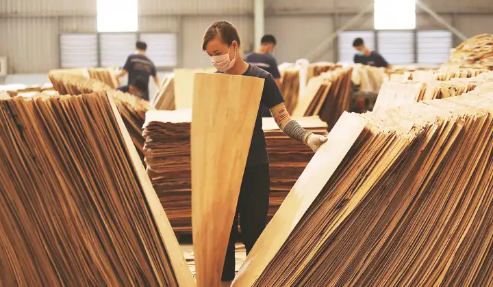 Việt Nam áp thuế chống bán phá giá tạm thời với ván sợi gỗ xuất xứ từ Thái Lan và Trung Quốc