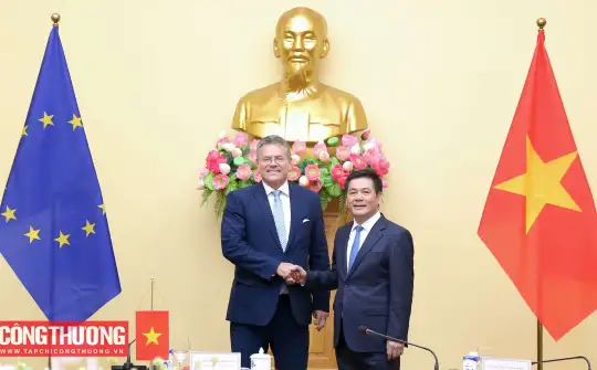 Tháo gỡ vướng mắc trong thương mại và đầu tư, thúc đẩy thực hiện đầy đủ cam kết Hiệp định EVFTA