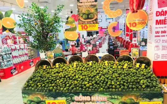 Giám sát chặt chẽ biến động giá cả thị trường