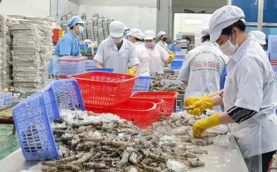 Thủ tướng yêu cầu tăng cường truy xuất nguồn gốc, đảm bảo chất lượng nông lâm thủy sản xuất khẩu