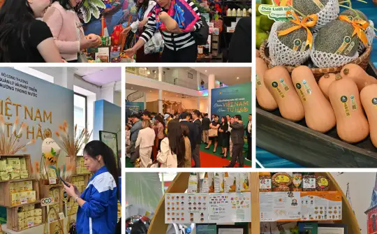 Khai mạc Tuần lễ Nông sản Việt 2025: Chạm Việt Nam – Nhân tự hào