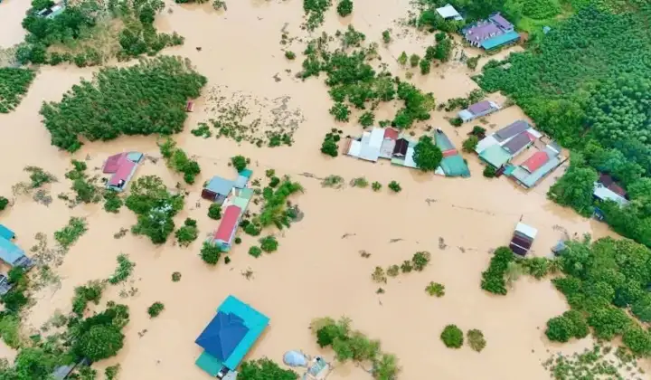 Tập trung tối đa nguồn lực, khẩn trương khắc phục hậu quả, khôi phục sản xuất