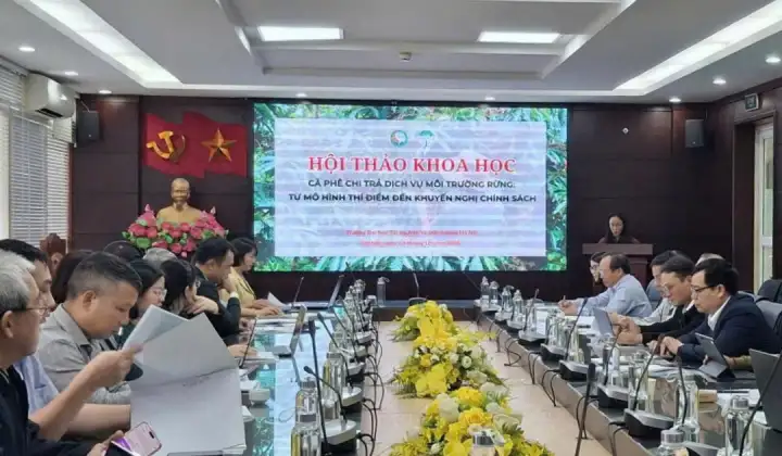 Chuyển đổi chuỗi giá trị cà phê: Thúc đẩy chi trả dịch vụ môi trường rừng và phát triển bền vững