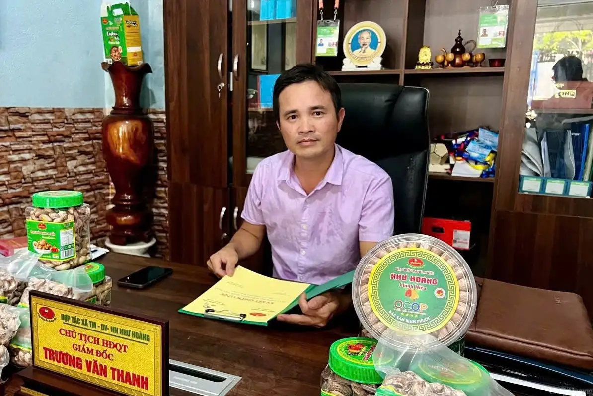 Hạt điều Như Hoàng – Từ trăn trở mùa vụ đến thương hiệu OCOP