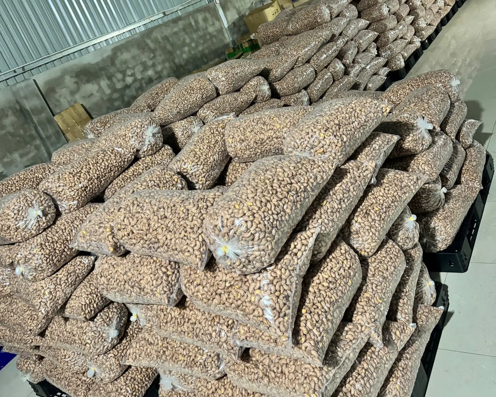 Hạt điều Như Hoàng – Từ trăn trở mùa vụ đến thương hiệu OCOP