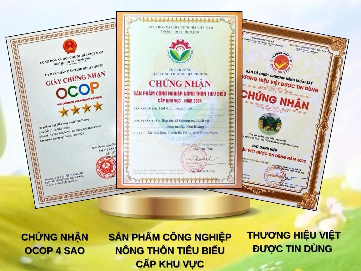 Hạt điều Như Hoàng – Từ trăn trở mùa vụ đến thương hiệu OCOP