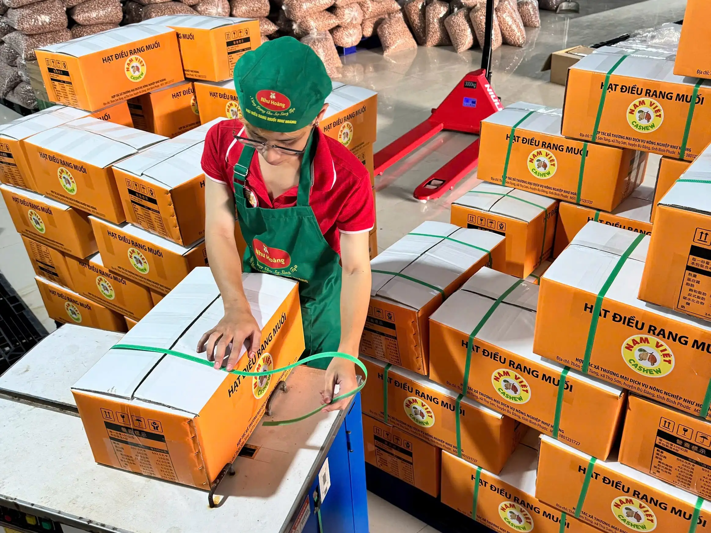 Hạt điều Như Hoàng – Từ trăn trở mùa vụ đến thương hiệu OCOP