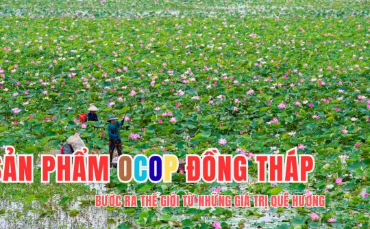 Sản phẩm OCOP Đồng Tháp: Bước ra thế giới từ những giá trị quê hương