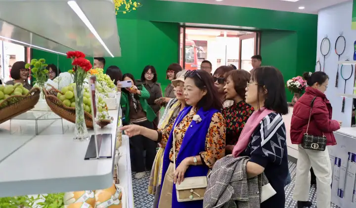 Khai mạc Phòng trưng bày Hàng thật – Hàng giả lần thứ 18