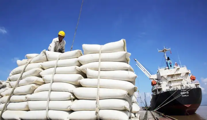 Bộ Công Thương triển khai các giải pháp thúc đẩy sản xuất, xuất khẩu gạo trong tình hình mới