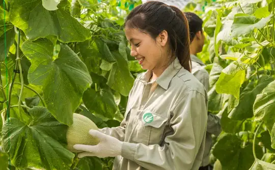 Đẩy mạnh chuyển đổi sản xuất nông nghiệp hàng hóa, phát triển nông nghiệp sinh thái, hiệu quả, bền vững