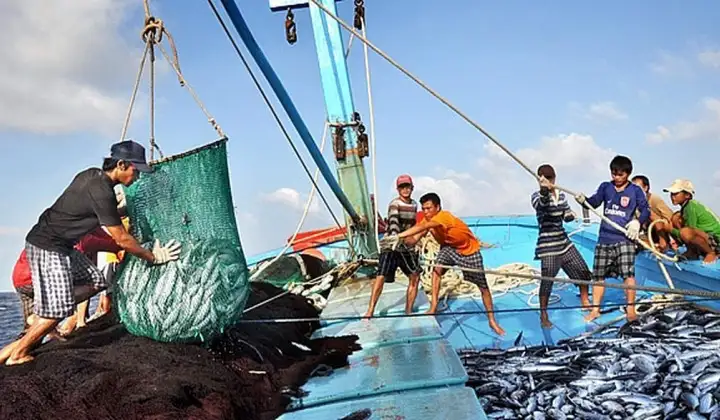 Thủ tướng Chính phủ yêu cầu khắc phục triệt để các tồn tại trong chống khai thác IUU