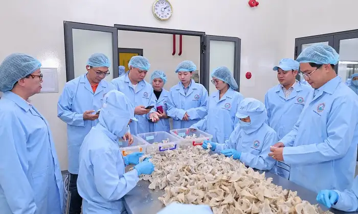 Sanvinest Khánh Hòa: Bức tranh tài chính và năng lực quản trị qua các chỉ số tăng trưởng