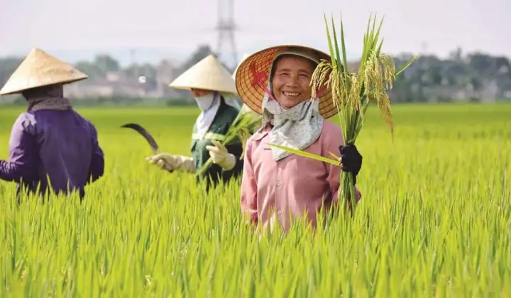 Giai cấp nông dân lực lượng quan trọng trong sự nghiệp cách mạng Việt Nam