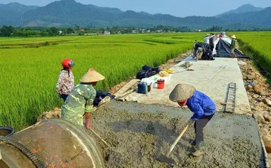 Dấu ấn nhiệm kỳ VIII: Nông dân phát huy vai trò chủ thể trong xây dựng nông thôn mới