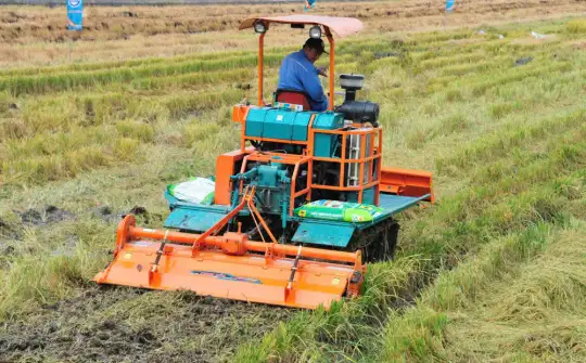 Đầu Trâu Bio-Canxi: Trả dinh dưỡng lại cho đất lúa, hướng tới canh tác xanh