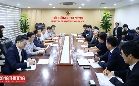 Thứ trưởng Nguyễn Hoàng Long làm việc với các doanh nghiệp Nhật Bản về LNG