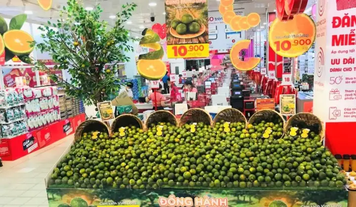 Chính phủ Ban hành Hệ thống ngành sản phẩm Việt Nam