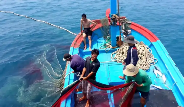 Vi phạm về nhập khẩu, xuất khẩu thủy sản sống bị phạt tới 50 triệu đồng